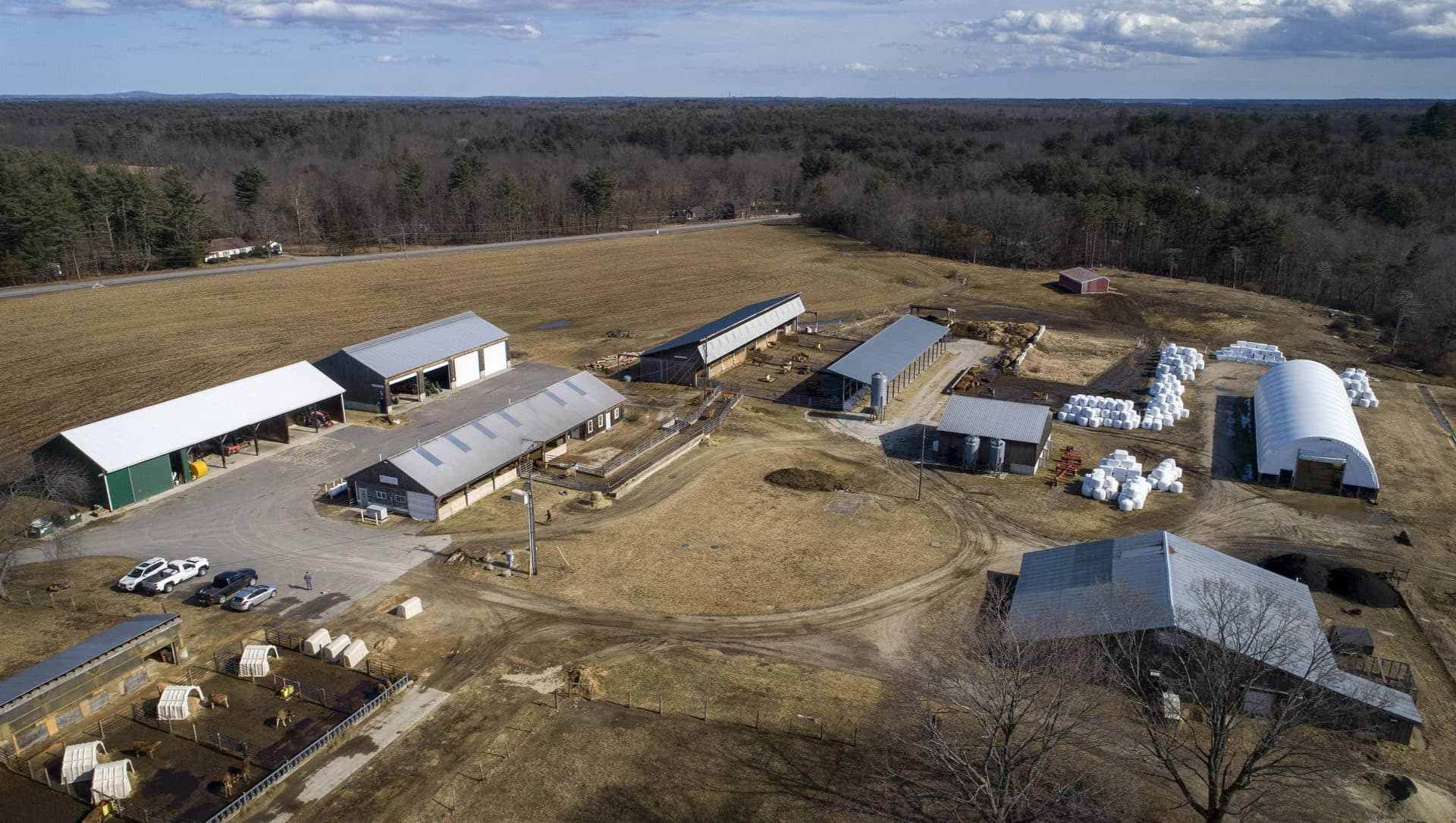 La ferme de recherche laitière biologique Burley-Demeritt de l'Université du New Hampshire à Lee, NH.  (Robin Lubbock/WBUR)
