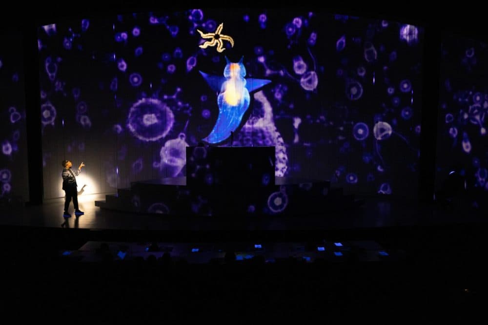 Jennifer Kidwell in "Ocean Filibuster." (Courtesy Maggie Hall)