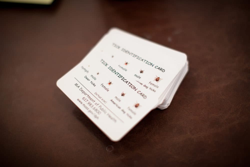 Tick identification cards seen during a meeting about Lyme disease at the Dover Town Hall in Dover, Mass. (Dina Rudick/The Boston Globe via Getty Images)
