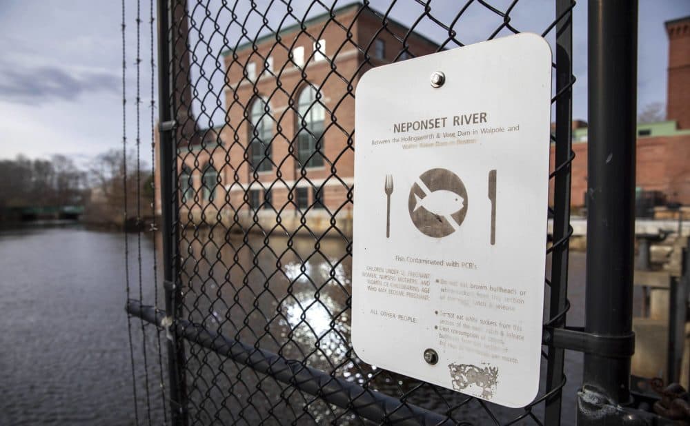 A sign on the Neponset River near Adams Street in Milton warns of the danger of PCBs in fish caught on the river. (Robin Lubbock/WBUR)