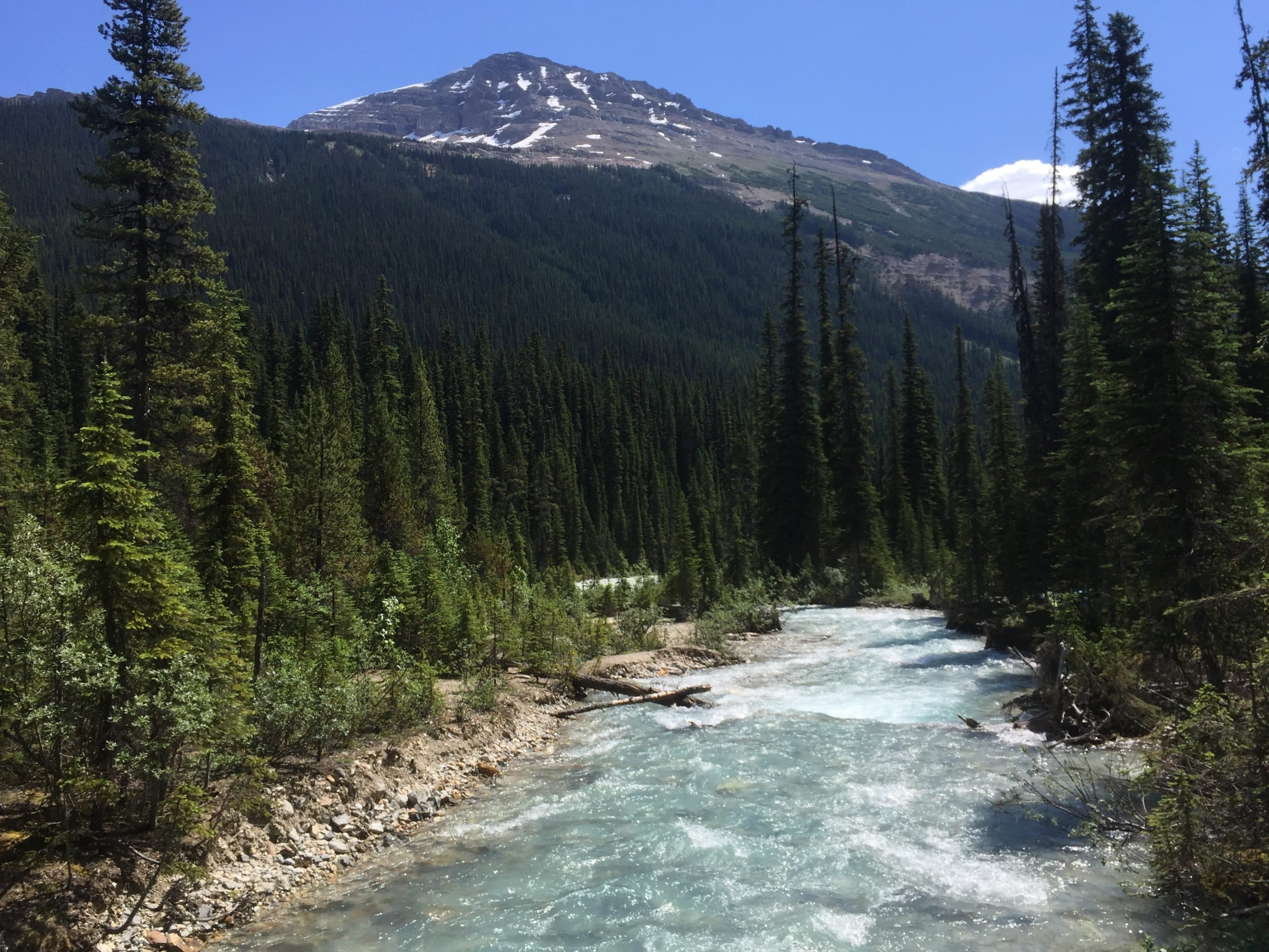 Why Canadian doctors are prescribing National Parks passes and time in nature - Vimarsana News