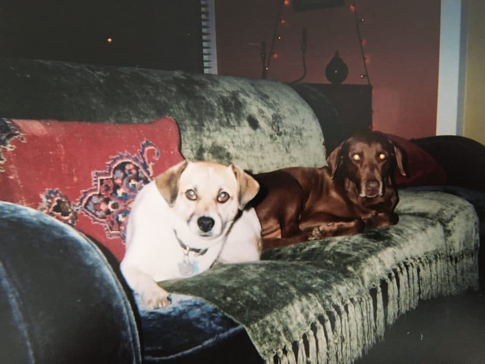 Derby and Watson on the couch. (Courtesy John Griffiths)