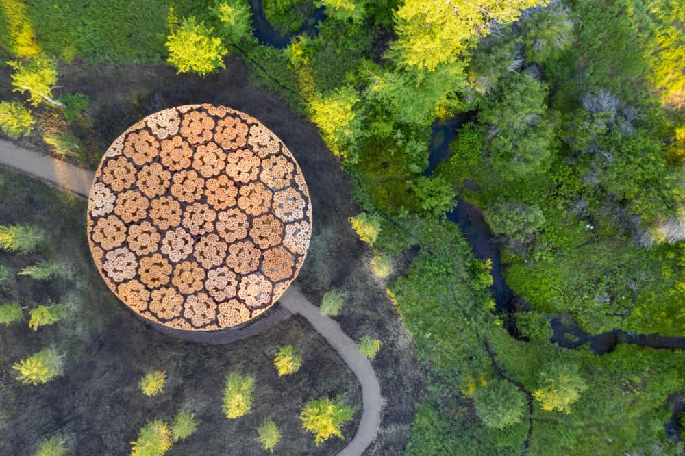 Xylem (Iwan Baan)
