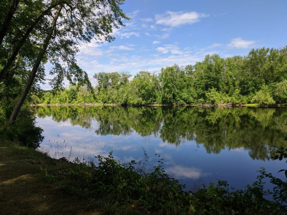 The Merrimack River in New Hampshire. (Annie Ropeik/NHPR)