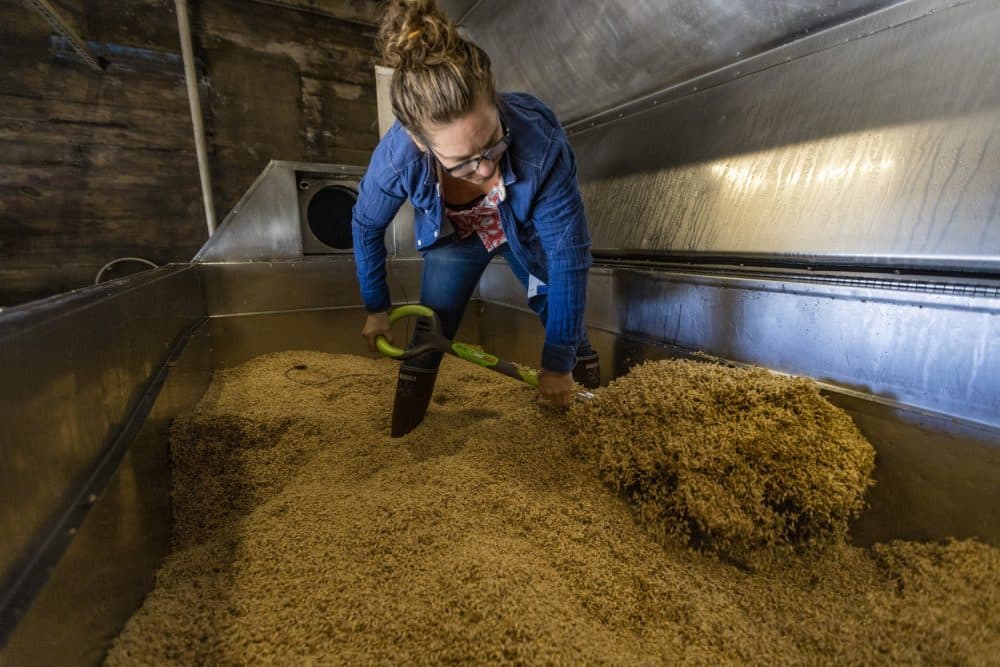 From field to pint: How cans of craft beer are supporting regional farmland - Vimarsana News