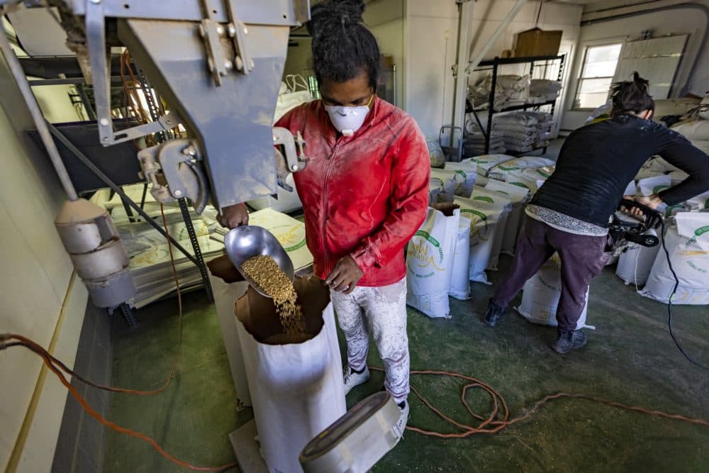 Alondra Cortez and production manager, Margot Wise, bag and package grain at Valley Malt for delivery. (Jesse Costa/WBUR)
