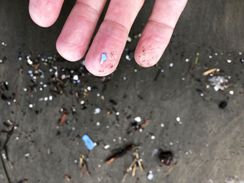 How microplastics affect human health - Vimarsana News