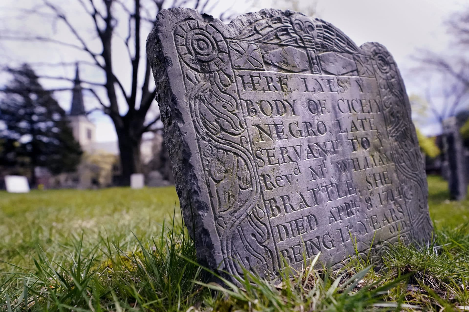 A headstone marks the grave of "Cicely", a 15-year-old "Negro Servant" of Rev. William Brattle, a treasurer at Harvard College, at the Old Burying Ground just outside Harvard Yard, April 27, 2022, in Cambridge, Mass. (Charles Krupa/AP)
