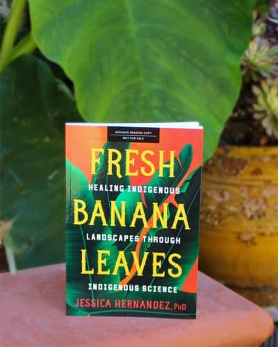 “Fresh Banana Leaves: Healing Indigenous Landscapes Through Indigenous Science." (Courtesy)