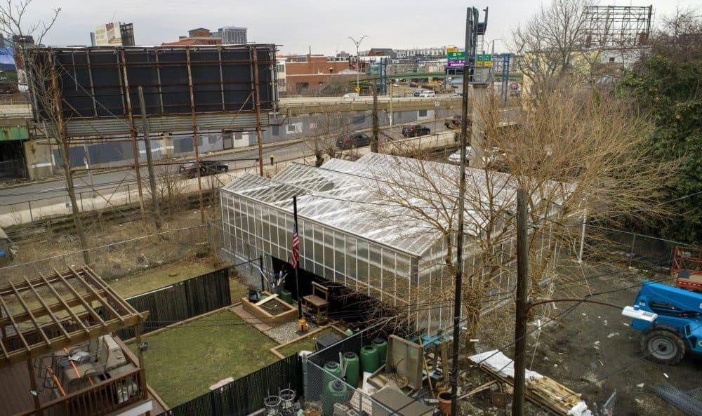 Eastie Farm's new greenhouse on Chelsea Terrace. (Robin Lubbock/WBUR)