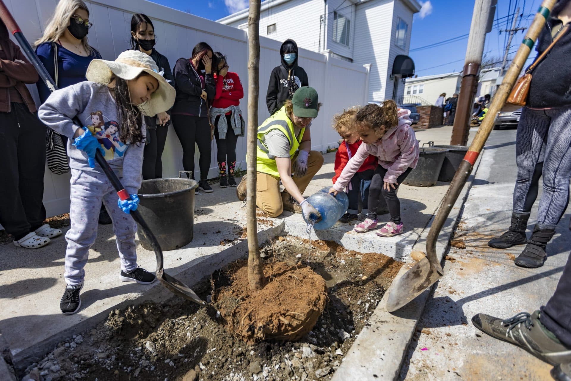 Five-year-old Julia Martinez shovels dirt, as state worker Jake Hennessey assists Malikai DeTar-Kock, 2, and Sonorus Salem, 4, water the root ball of a tree they just set into the ground. (Jesse Costa/WBUR)