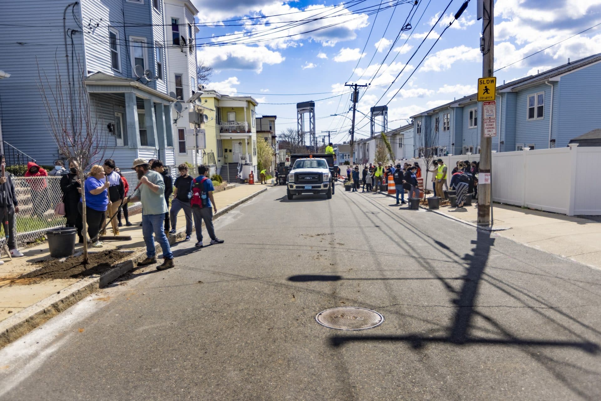State workers and volunteers plant trees on Maverick Street in Chelsea, part of the “Chelsea Cool Block” project to help mitigate urban heat in the city. (Jesse Costa/WBUR)