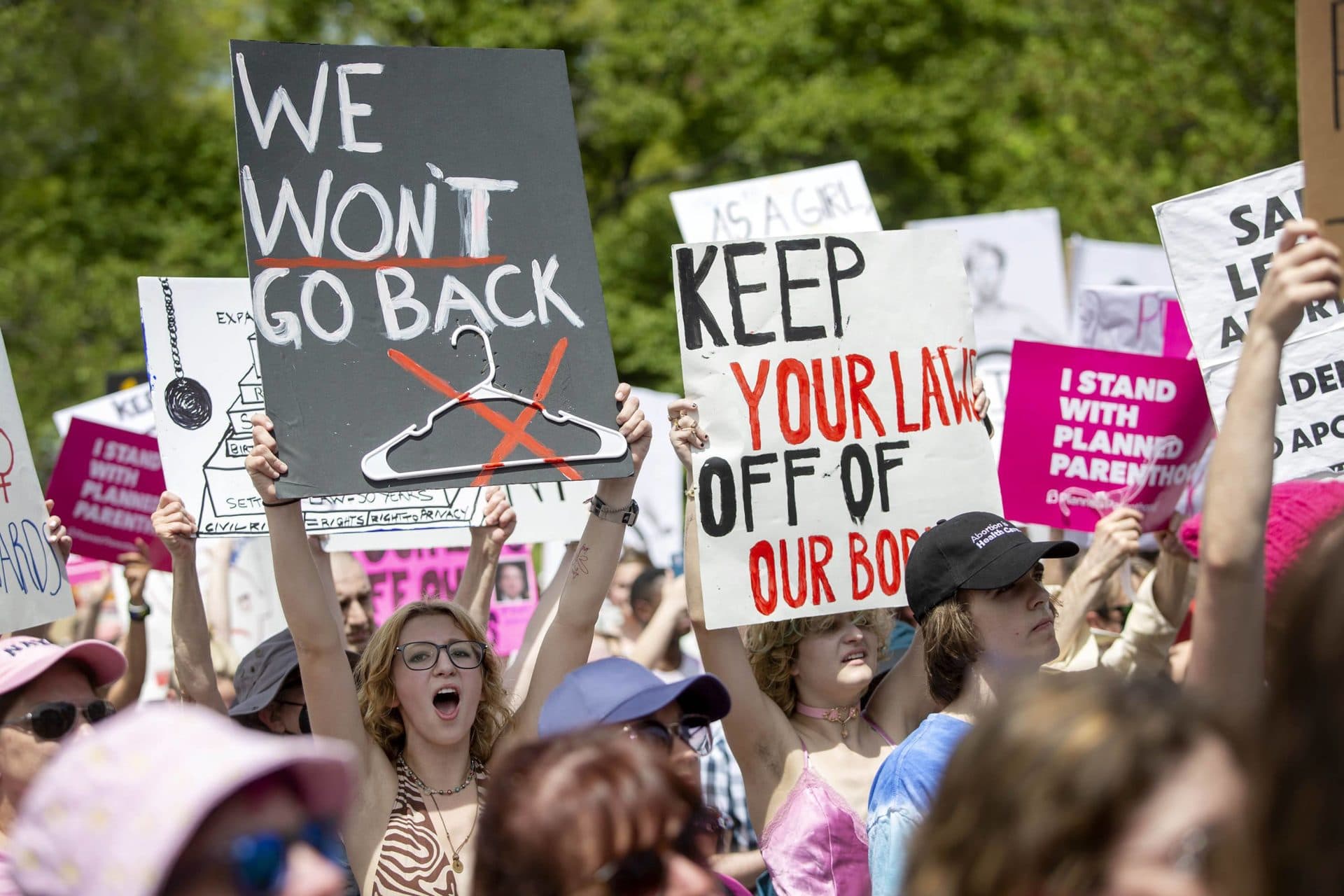 A protester holds up a "We Won't Go Back" sign at the Bans Off Our Bodies rally on Boston Common. (Robin Lubbock/WBUR)