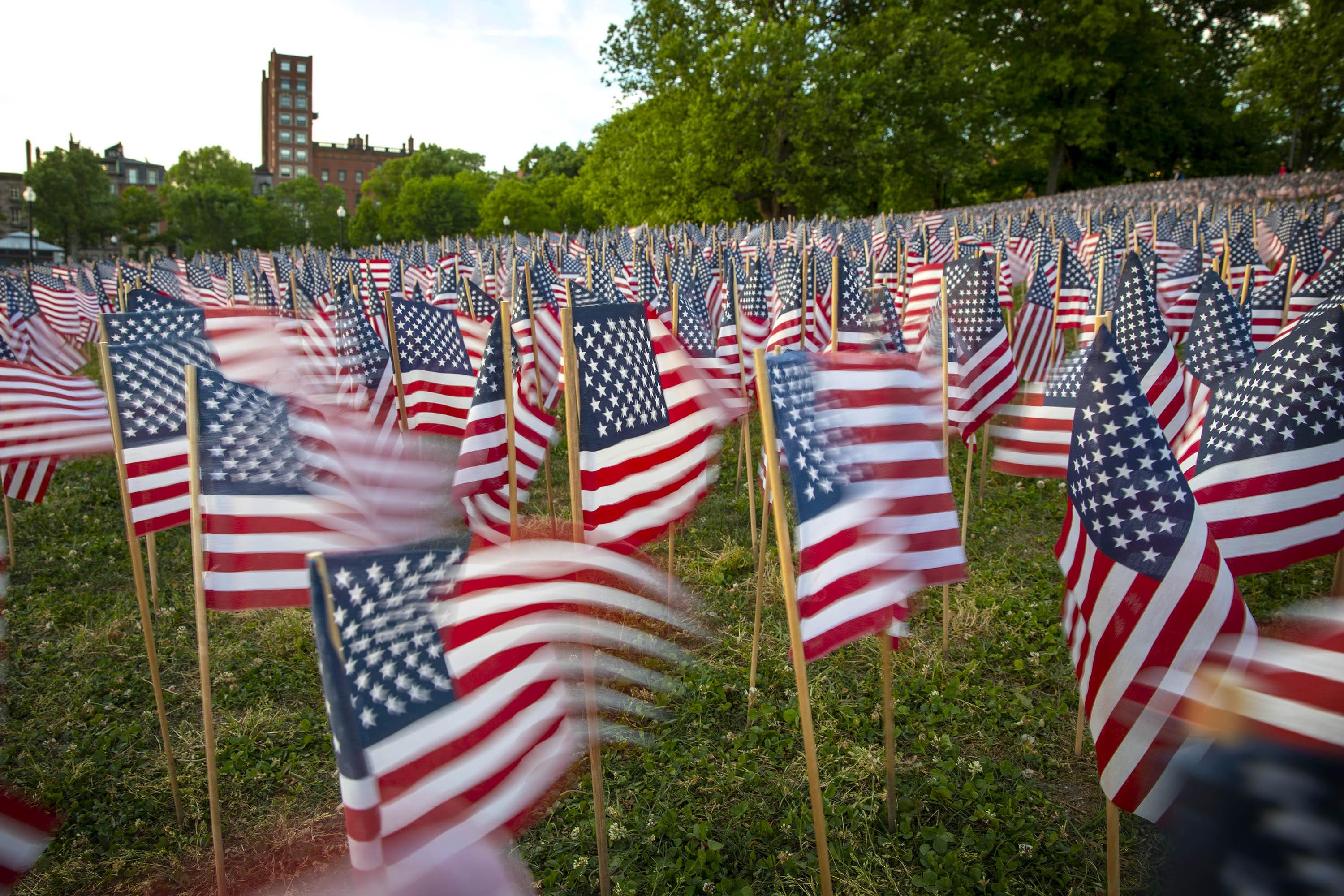 Some of the 37,000 flags, planted in memory of fallen Massachusetts service members, flutter in the breeze on Boston Common. (Robin Lubbock/WBUR)