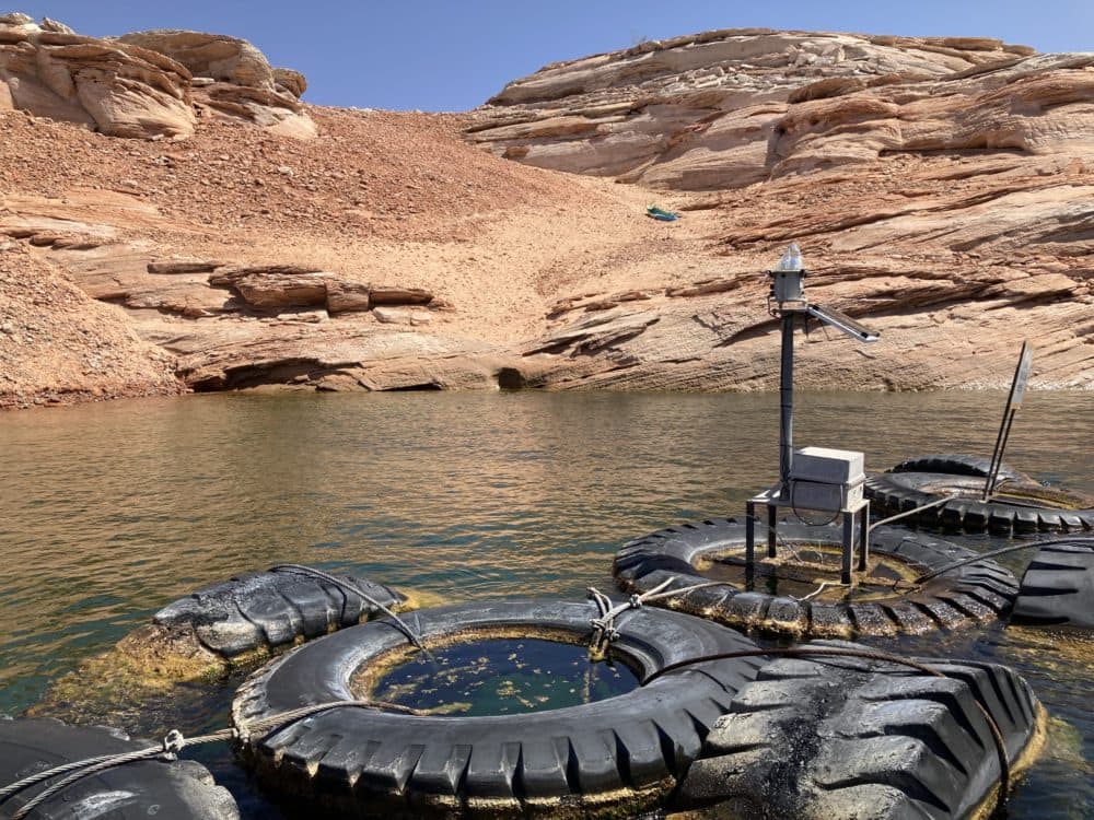 This hillside at a Lake Powell boat launch used to be underwater. Now kayakers have to drag their boats to the water. (Peter O'Dowd/Here & Now)