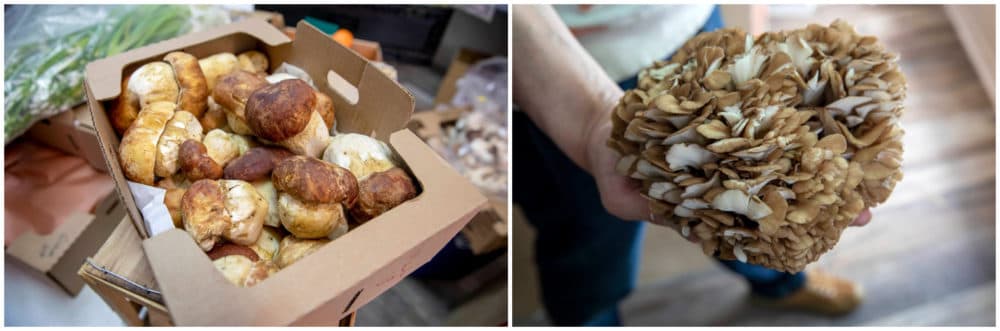 The Mushroom Shop offers severals varieties including porcini and hen of the woods. (Robin Lubbock/WBUR)