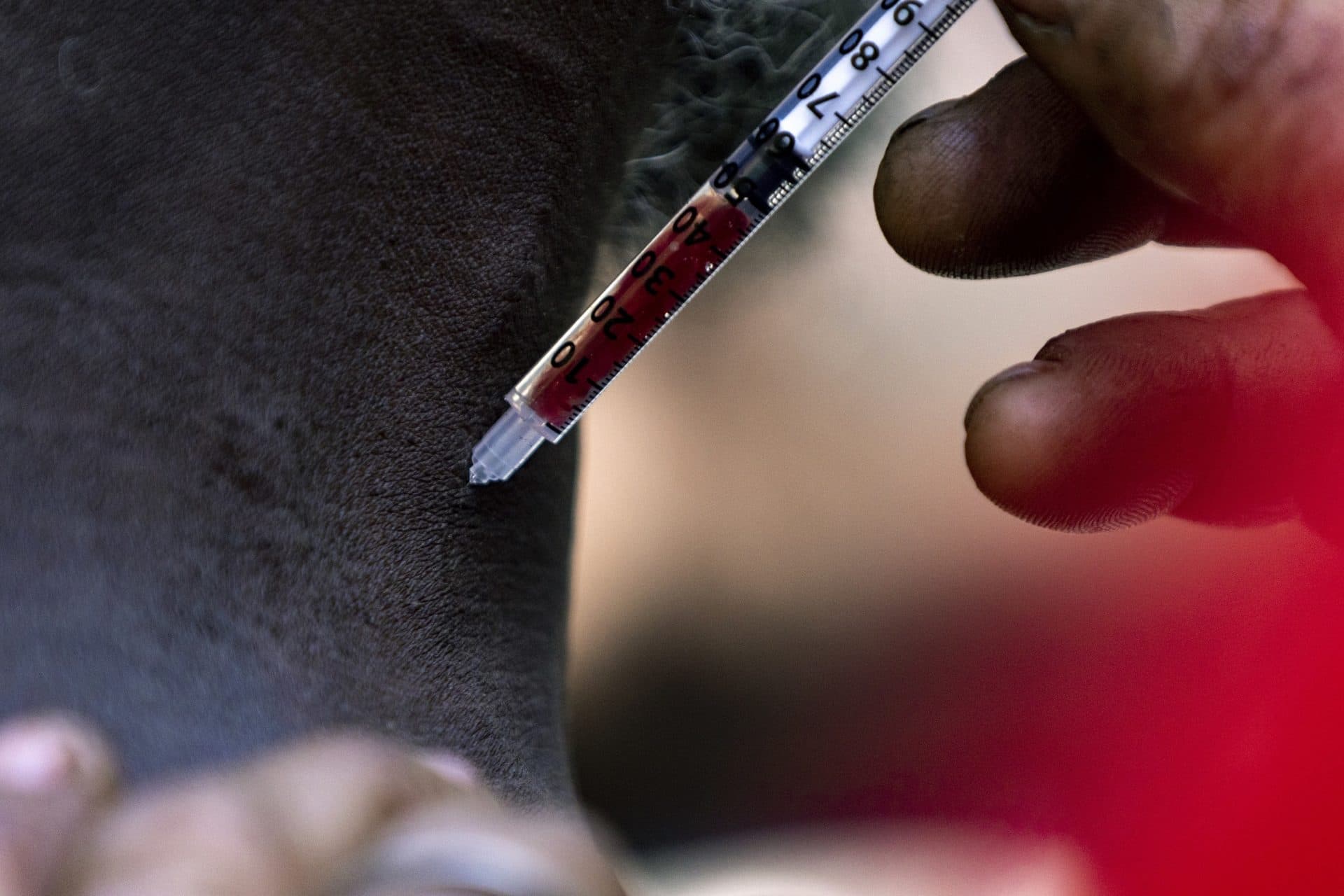 A man injects what is believed to be fentanyl into another man's neck in a downtown Brockton parking lot. (Jesse Costa/WBUR)