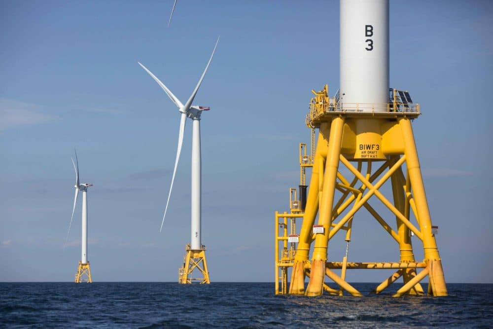 Wind farm, environmentalists agree on ways to protect whales - Vimarsana News
