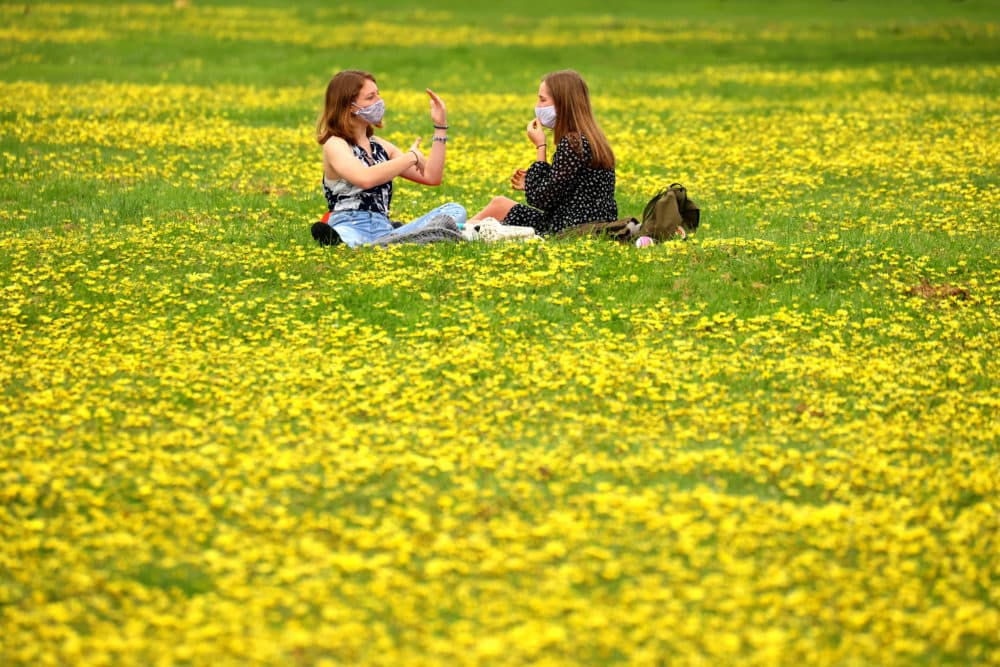 Inside the science of empathetic joy - Vimarsana News