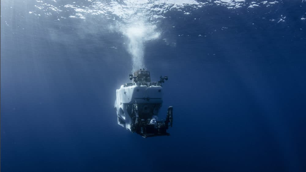 A still from the documentary &quot;Bruce and Alvin.&quot; (Courtesy Luis Lamar, Woods Hole Oceanographic Institute)